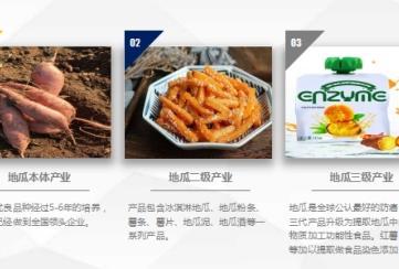 墟落振兴